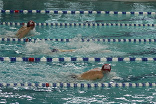 乐鱼体育登录-“世界游泳锦标赛：2025新加坡赛场泳池掀起速度与优雅的碰撞”