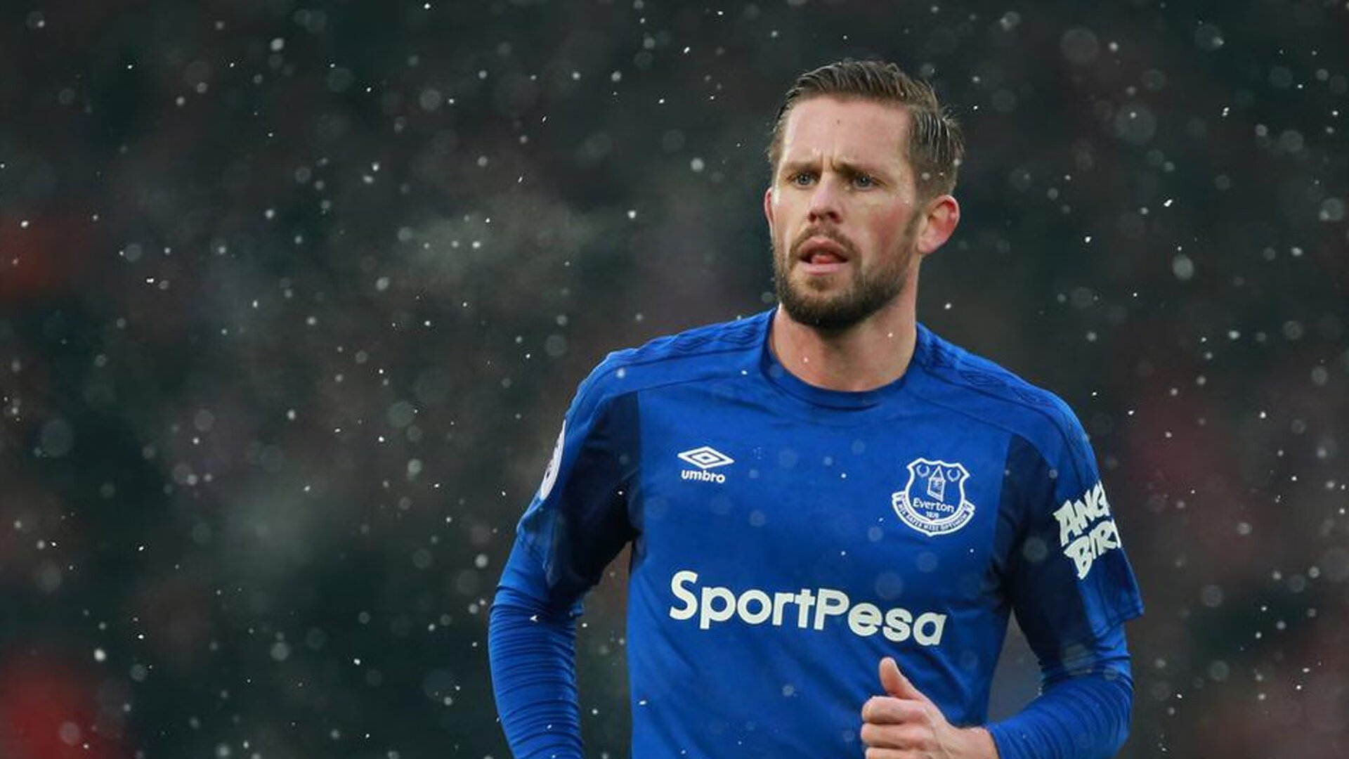 乐鱼体育-球迷基础稳固，为未来稳定发展奠定基础，球迷定义