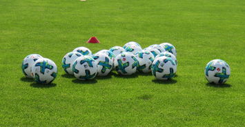 乐鱼体育app入口-勒沃库森难敌低谷，法兰克福再进步可期？，德国杯勒沃库森vs法兰克福